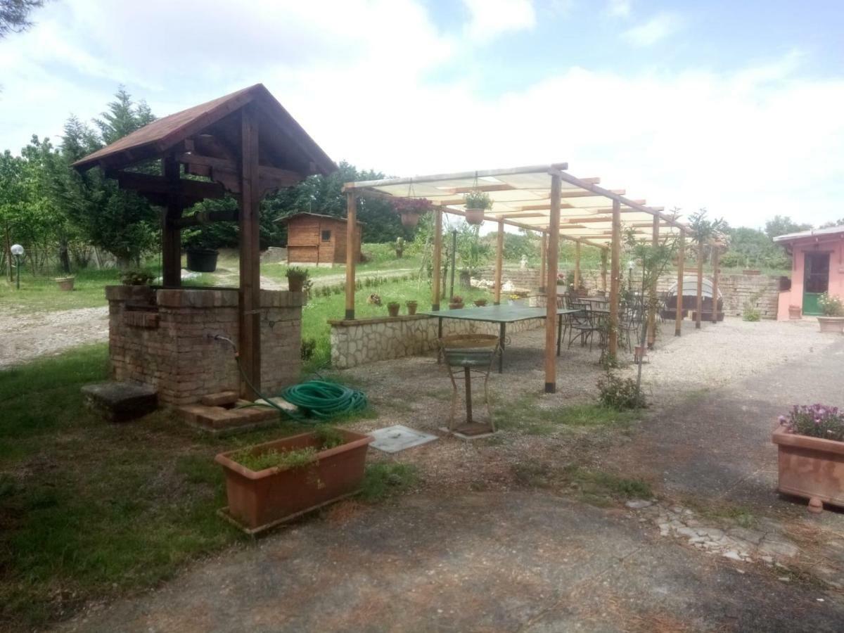 Agriturismo Colle Al Sole Apartamento Castiglione del Lago Exterior foto